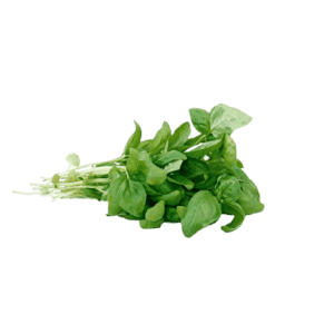 Albahaca fresca bolsa 60 gr