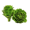 Alcachofa unidad