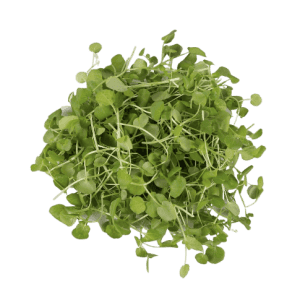 Berros 100 gr