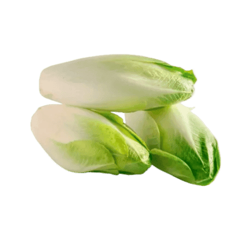 Endibia 500 gr