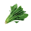Espinaca fresca bolsa 500 gr