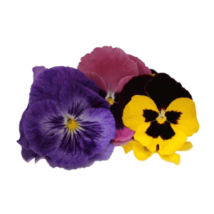 Flores comestibles 25-30 gr