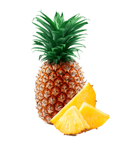 Piña unidad