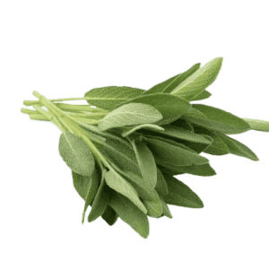Salvia fresca 80 gr
